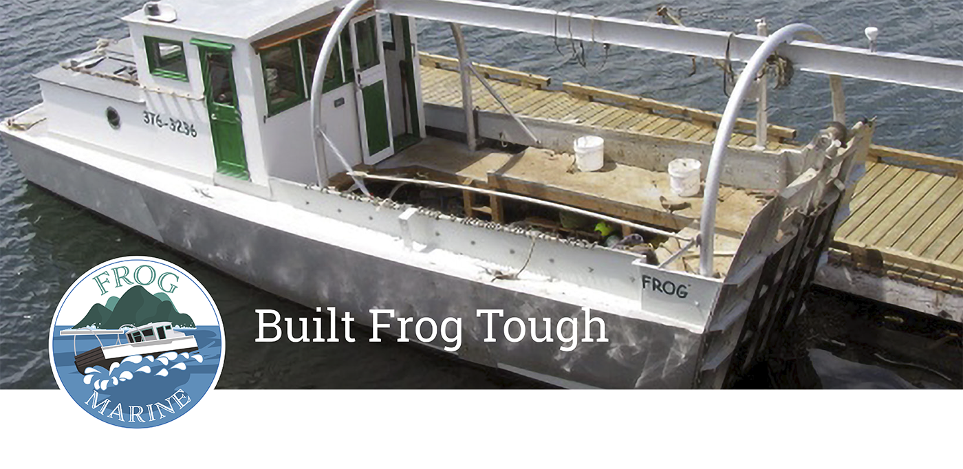 Frog Marine Banner 2
